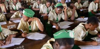 NECO to Release 2023 SSCE Results Today