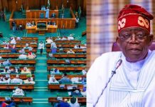 Reps Urges President Tinubu to Submit 2025 Budget Promptly, Threatens Rejection Over Delays