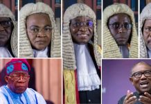 Peter Obi gives Supreme Court justices tongue-lashing for condoning constitutional violations, overlooking Tinubu’s forgery, identity theft