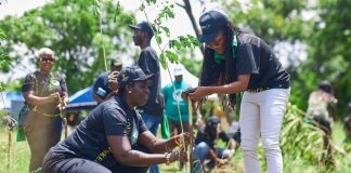 Climate Change: One year after, Nigeria fails to implement tree planting project