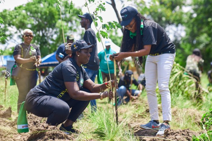 Climate Change: One year after, Nigeria fails to implement tree planting project