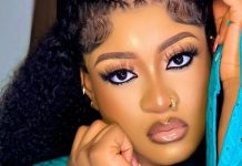 I lost 17 brand deals because of my controversies — Phyna