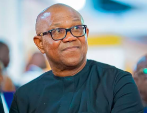 We Will Not Mobilise Support for Peter Obi as VP Candidate — Obidient Movement