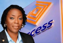 Access Holdings appoints Acting CEO