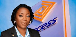 Access Holdings appoints Acting CEO