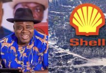 Diri to sue Shell, other IOCs for destroying Bayelsa