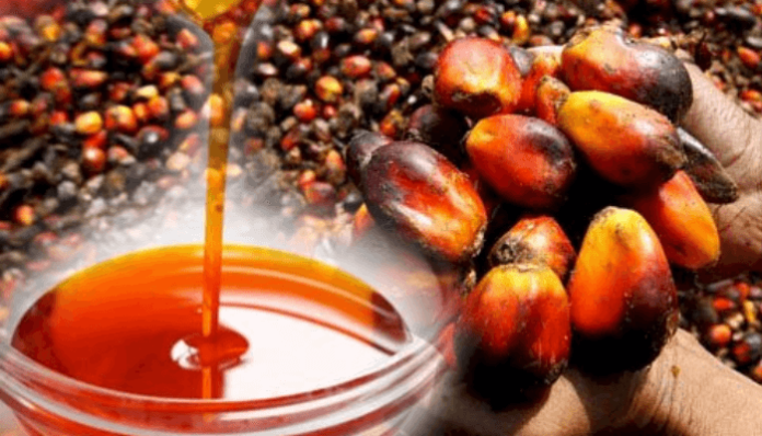 Palm oil consumption eliminates dandruff, prevents cancer, relieves pain: Nutritionists