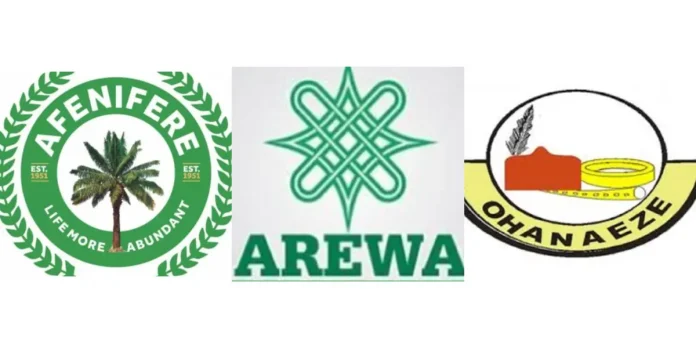 Livestock Ministry: Afenifere, Ohanaeze, Arewa youths, others take definite stand