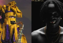 ‘I didn’t see Lagbaja’s face while recording ‘‘Back N Forth’’- Fireboy DML