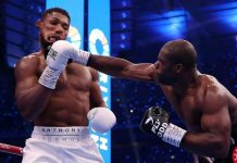 Daniel Dubois Destroys Joshua's Comeback Dreams with Brutal Knockout