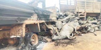 Tanker Explosion: Governor reacts as 48 Persons, 50 Cows are Killed