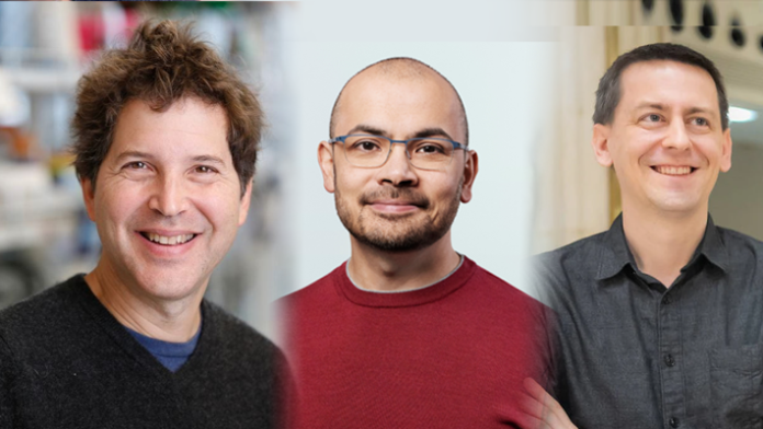 Baker, Hassabis, Jumper named Nobel Prize in Chemistry winner for protein design work