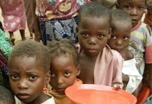 Hunger Crisis Looms: 133.1 Million Nigerians at Risk of Food Insecurity in 2025