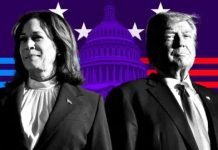 US Vice President Kamala Harris Concedes Defeat, Calls Trump