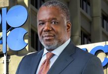 OPEC appoints Nigeria’s Adeyemi-Bero board of governors’ chairman