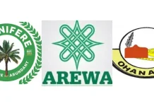 Controversial Tax Reform Bills: Ohanaeze, Afenifere, Arewa youths state positions