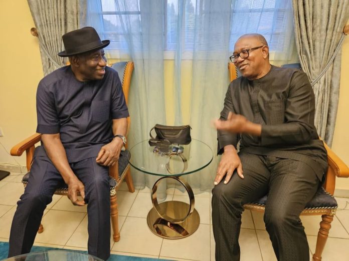 Peter Obi Meets Former President Jonathan, Shares Details of Discussion