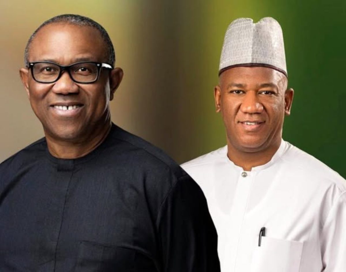 Baba-Ahmed Slams ADC as ‘Deceiving Nigerians,’ Urges Peter Obi to Rejoin Labour Party