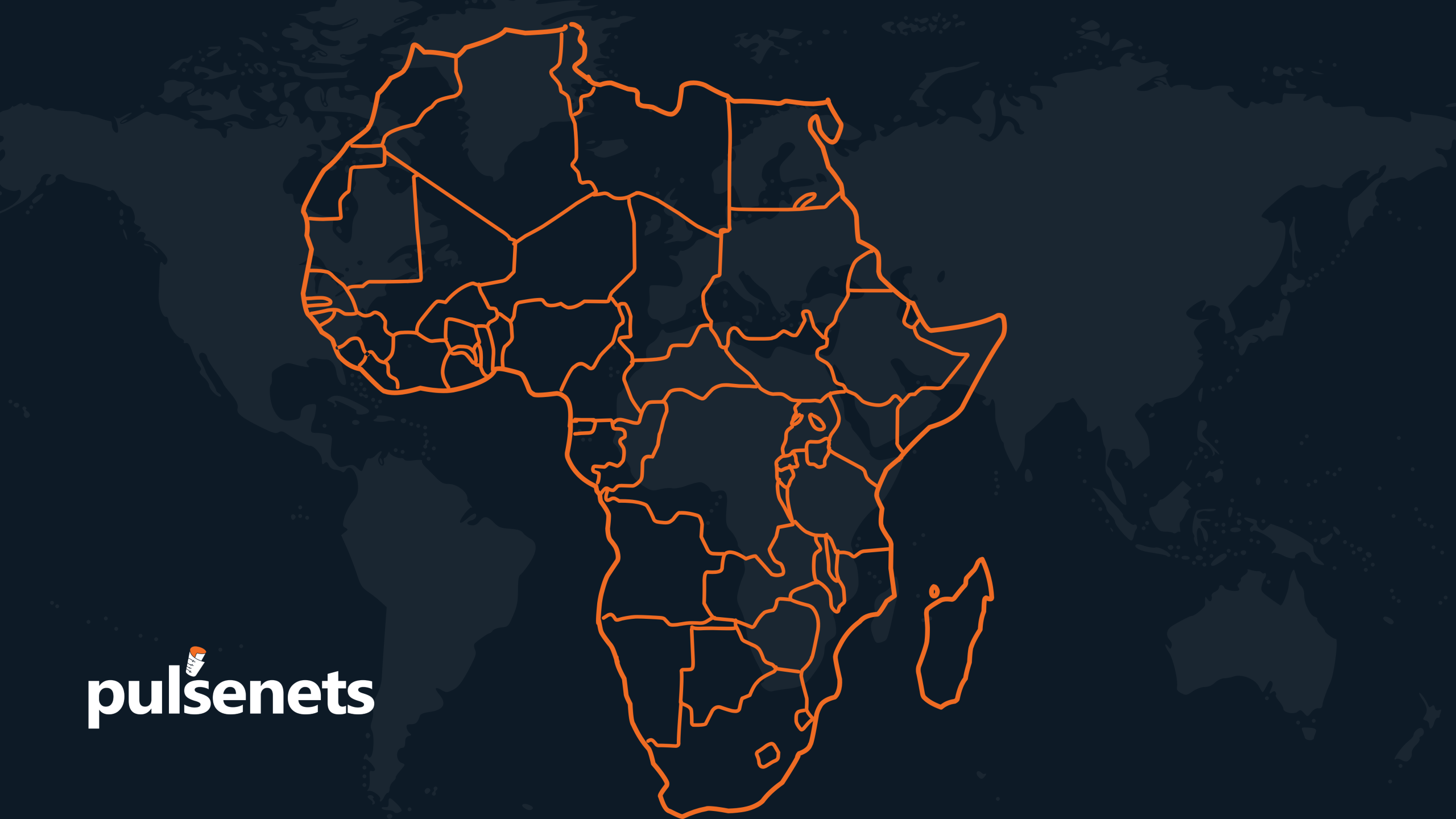 Number of Millionaires in Africa Set to Rise by 65% in the Next Decade — PulseNets Exclusive