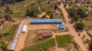 PETRONIE-5.jpg-300x168 UNICEF Warns Global Education Cuts Could Push Six Million More Children Out of School