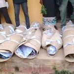 Adamawa: Reps Orders Probe Into Alleged Killing of Women, 13-Year-Old by Soldiers