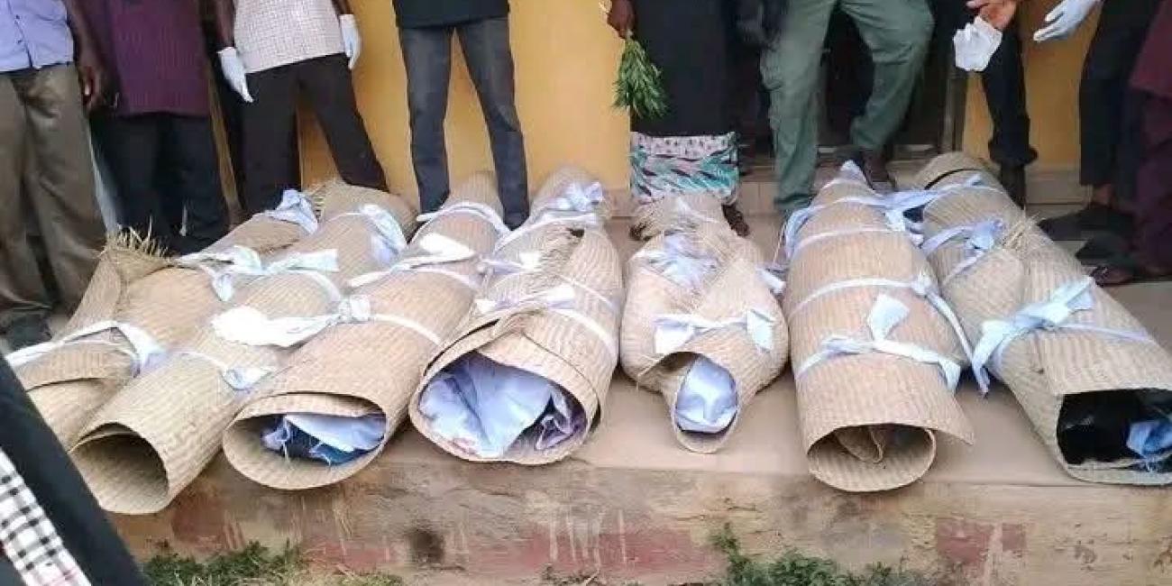 Adamawa: Reps Orders Probe Into Alleged Killing of Women, 13-Year-Old by Soldiers