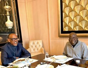 Why We Posted the Grok Image of President Tinubu and Kagame – Presidency Explains