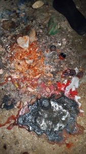 IMG_9435-169x300 Bayelsa Police Debunk Viral Claim of Four Girls Found Dead in Akenfa, Confirm Ritual Suspect Arrest