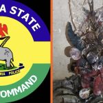 Bayelsa Police Debunk Viral Claim of Four Girls Found Dead in Akenfa, Confirm Ritual Suspect Arrest