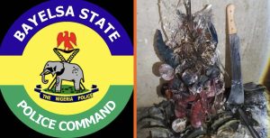Bayelsa Police Debunk Viral Claim of Four Girls Found Dead in Akenfa, Confirm Ritual Suspect Arrest