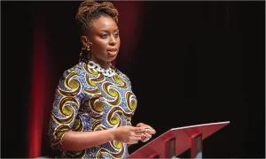 Medical Panel Suspends Euracare Director, Two Doctors Over Alleged Negligence in Chimamanda Adichie’s Son’s Death