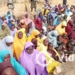 Boko Haram Releases Video of 416 Ngoshe Abductees Alive, Appeals for Urgent Rescue Intensify