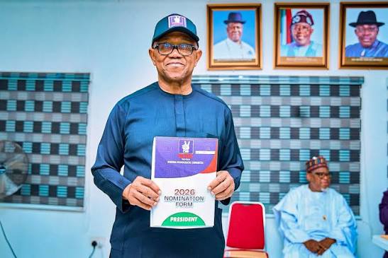 Peter Obi Should Remain in NDC and Fight, Arise News Political Editor Sumner Sambo Says
